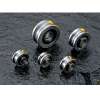 Track rollers with Gothic arch groove