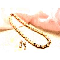 Beauty Kingdom International Co., Ltd.