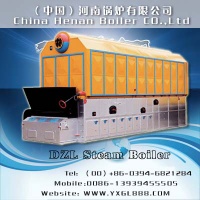 DZL Coal-fired boile