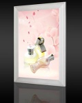 Slim light box ZC-K-3