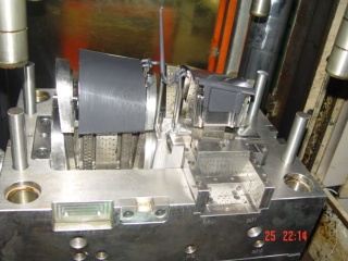 mould