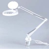 Magnifier lamp