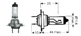 auto ight bulb