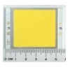 LED Module 12W