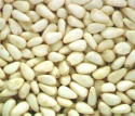 pine nuts,pine nut kernels