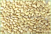 pine nut kernels,pine nuts
