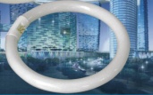 Fluorescent lamp,circular lamp,fluorescent tube,circline fluorescent light bulb,energy saving lamp