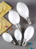 High Pressure Mercury Lamps