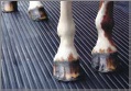 Rubber Mat/Sheet