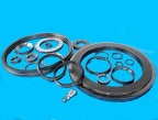 o seal ring