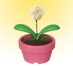 Solar Swing flower