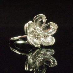 Alloy Ring