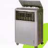 Celsius Ice Cooler