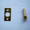 Hinge Bolt