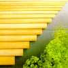 Wooden Dowels