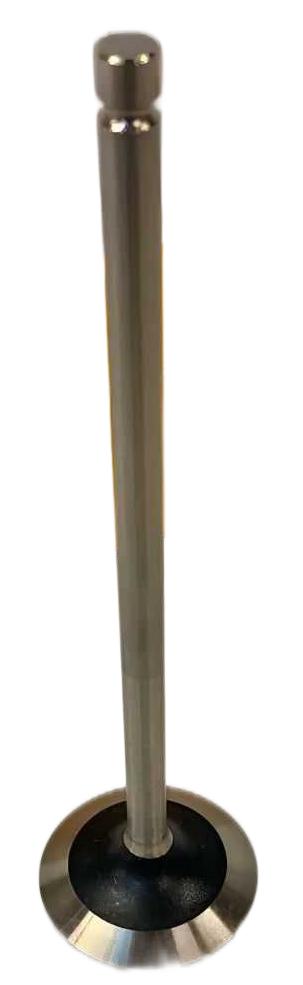 Caterpillar CAT 161-4280 Intake Valve for Engine 3116 3126,0.15kg