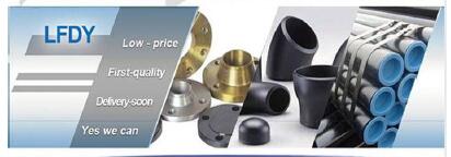 LANGFANG DINGYANG FLANGE PIPE FITTING CO., LTD
