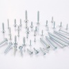 Self Tapping Screw