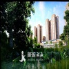 3D Animation - YN-001