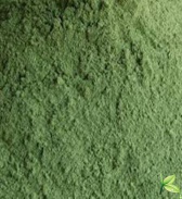 INDIGO POWDER - INDIGO POWDER