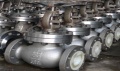 Plunger, lining, angle types globe valves