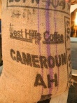 Robusta Coffee