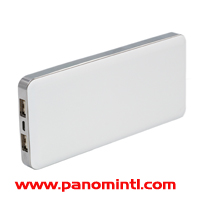 PSB3001