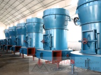 SHANGHAI  WOSHAN  RAYMOND  MILL