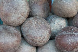 Dry Copra Suppliers in East Godavari and West Godavari