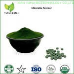 chlorella bio,chlorella algae,klorella,chorela,chlorella supplement,chlorella alga
