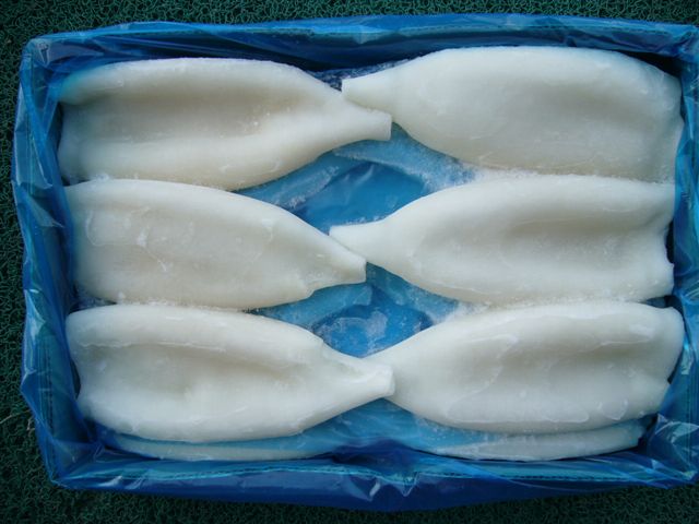 frozen squid tube Species: Illex Argentinus