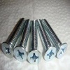 COUNTERSUNK FLAT/PAN HEAD TAPPING SCREWS