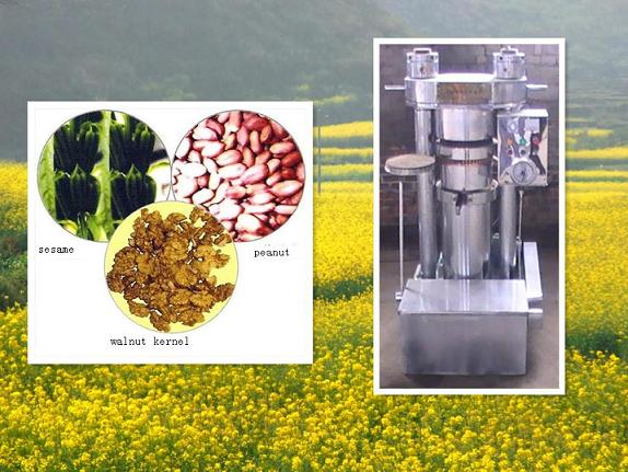 hydraulic oil press