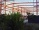 steel structure;steel buildings;structural steel