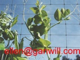 Plant Support Netting