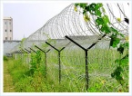 Razor Barbed Wire