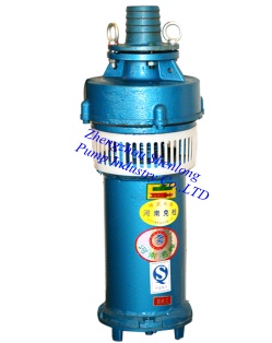 QS small submersible pump