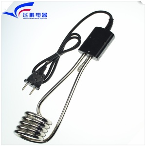 110v immersion travel portable heater