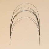 orthodontics arch wire