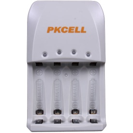 Fast Charger 8154