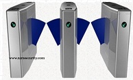 Flap gate