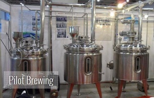 Pilot Brewing - Pilot Brewing