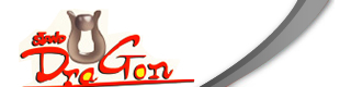 Stand Dragon Industrial Co., Ltd.