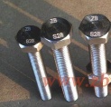 ALLOY28BOLT