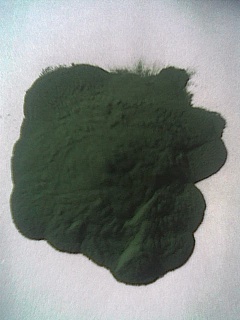 spirulina powder