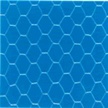 hexagonal wire netting