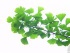 Feverfew Extract
