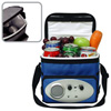Ice Bag with AM/FM Radio