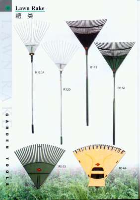Saw