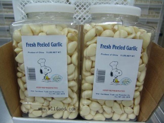 garlic